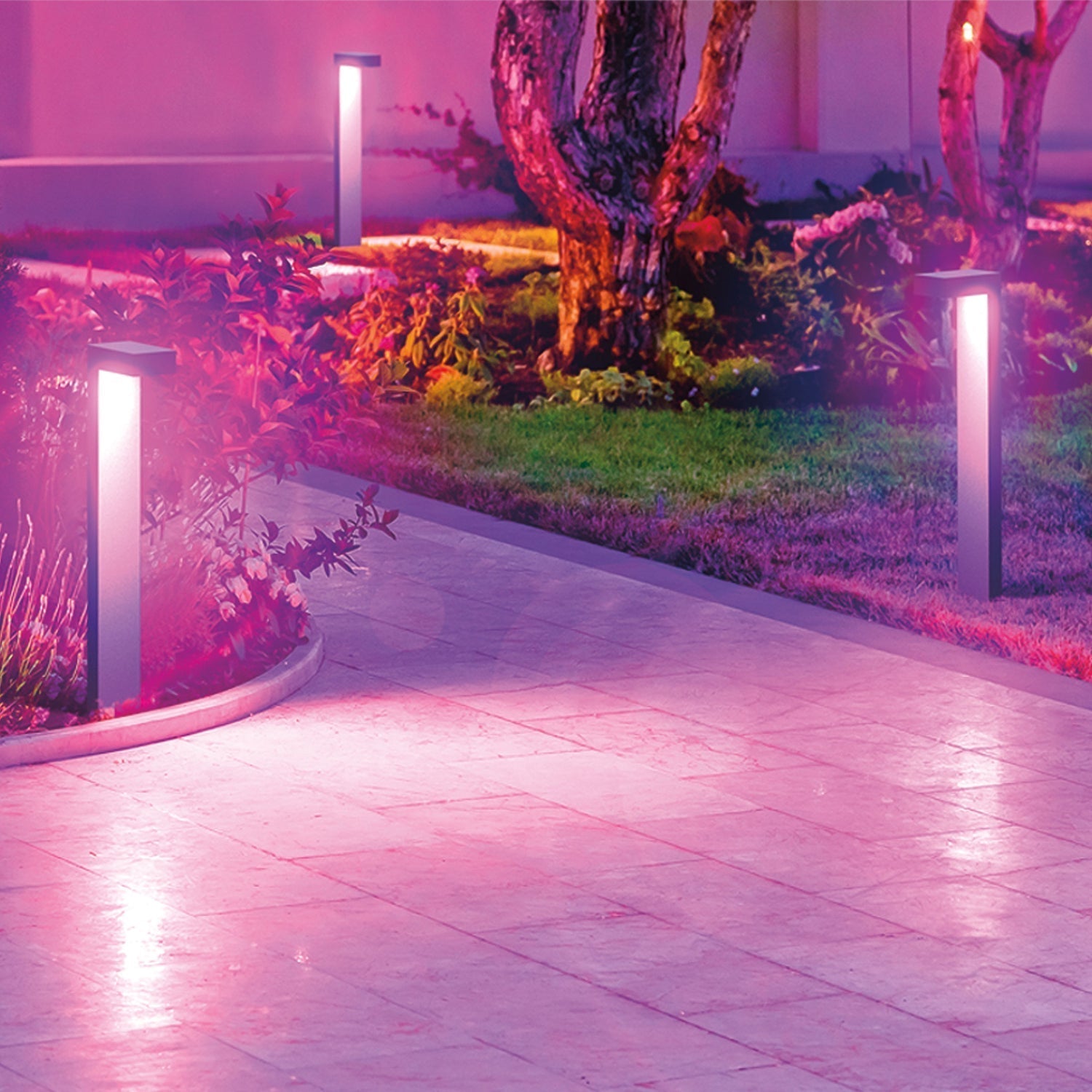 Smart Color Changing LED Pathway Lights, 4-Pack Starter Kit