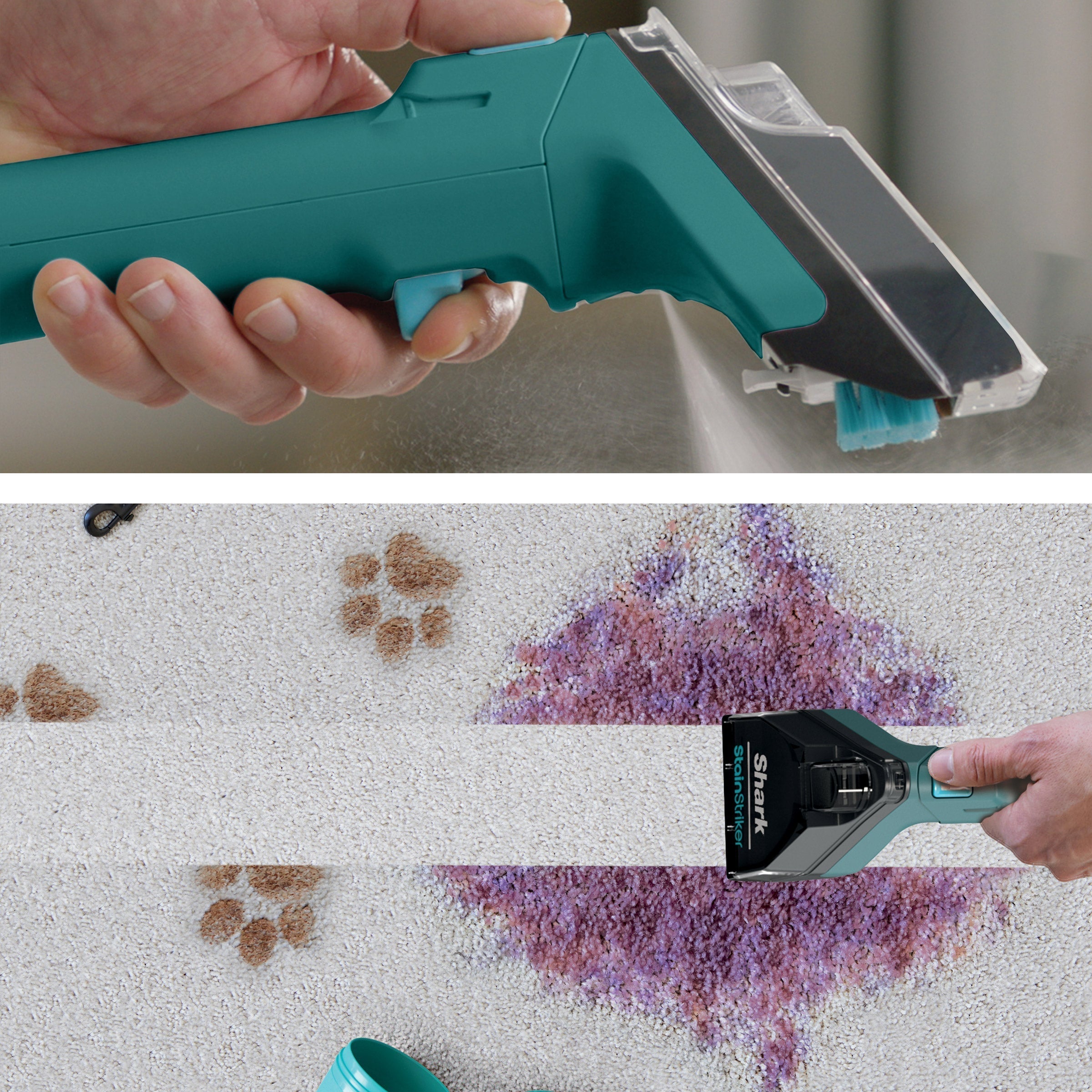 Carpetxpert Deep Carpet Cleaner with Stainstriker Technology