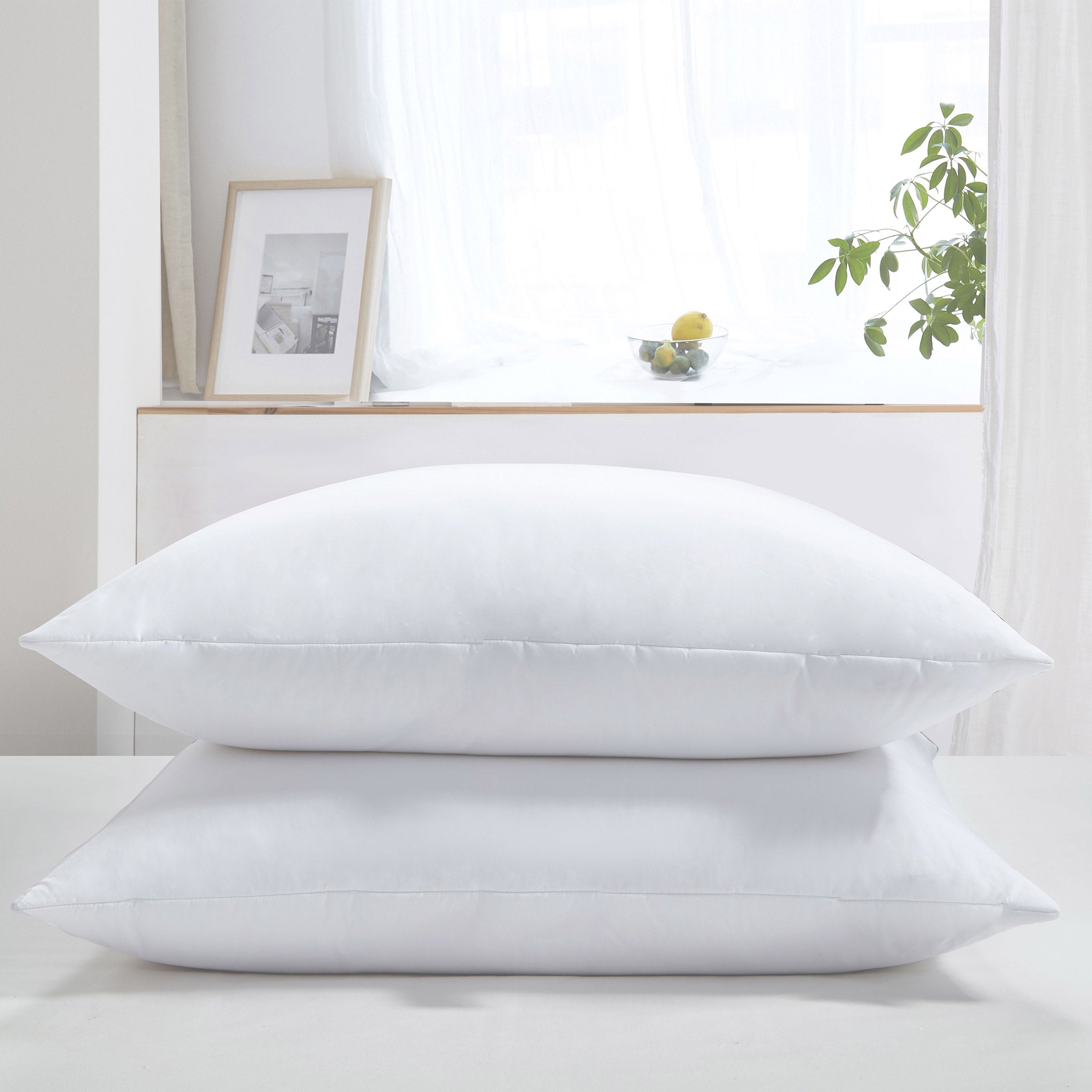 Feather Euro Pillow, 2-Pack